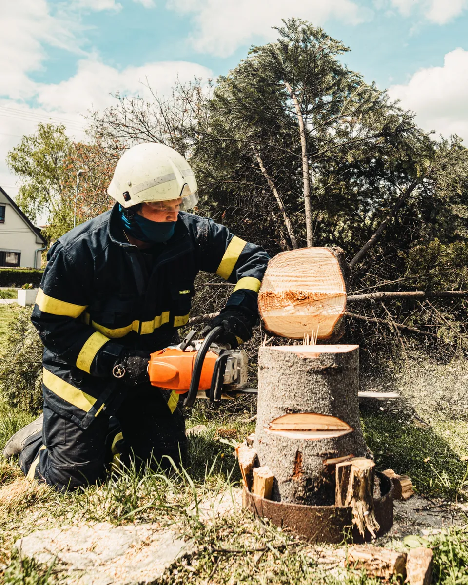 Tree service worker in safety gear using chainsaw to cut fallen tree branches and logs