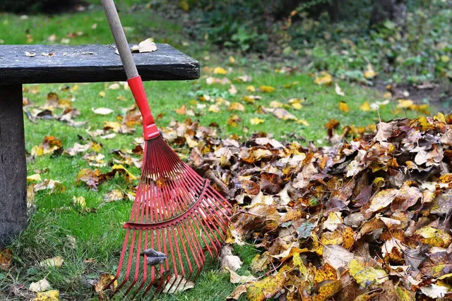 Best Spring Clean Services In Brockton, MA