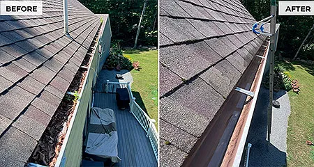 Gutter Cleaning