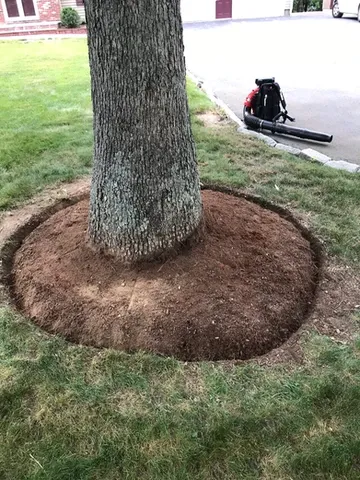 work photo from armandoandsonslandscaping.com
