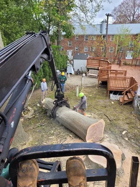 Stump grinding