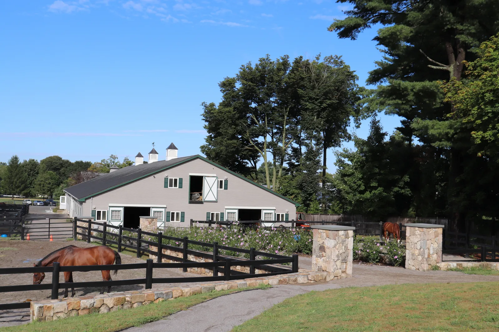 Dana Hall School: Riding Ring Portfolio Photo