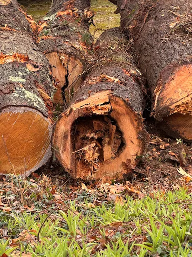 Review photo by Sean Lander