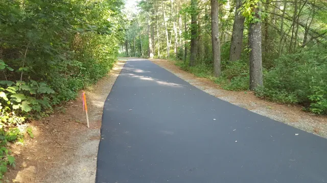 A road with trees and dirt on the side.