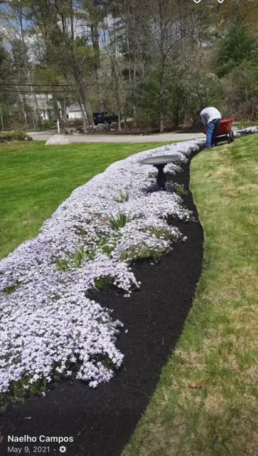 work photo from vinnyandcamposlandscaping.com