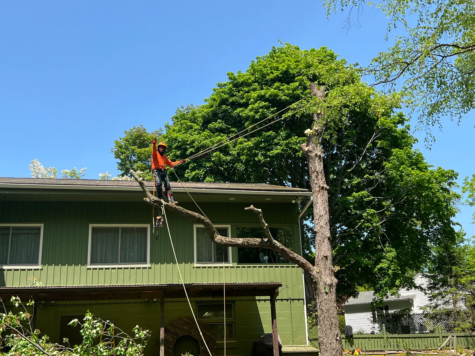work photo from Google listing