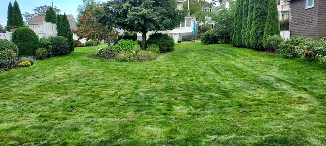 JL's Lawn care