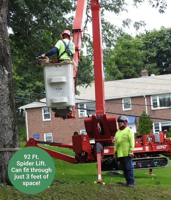 work photo from pauloslandscapingllc.com