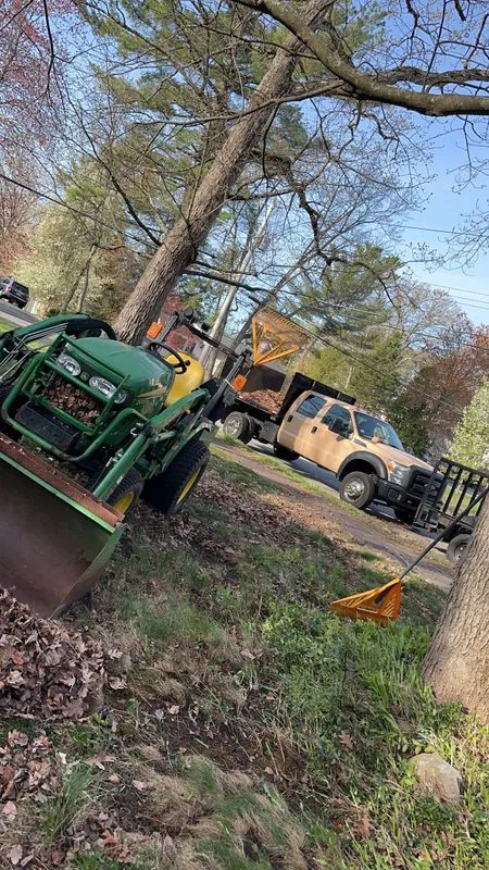 Fall Clean Up