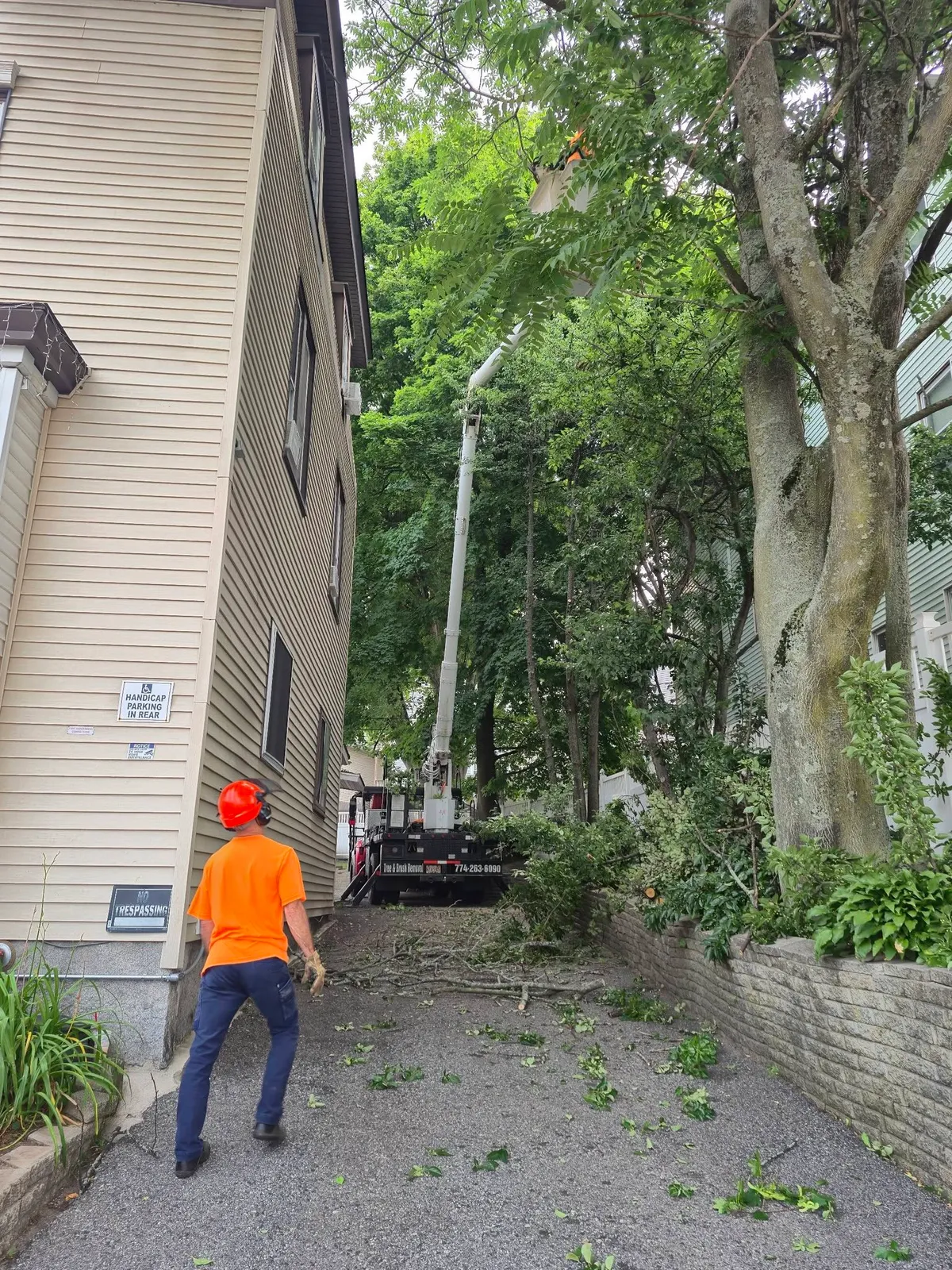 Branch Manager Tree Service
