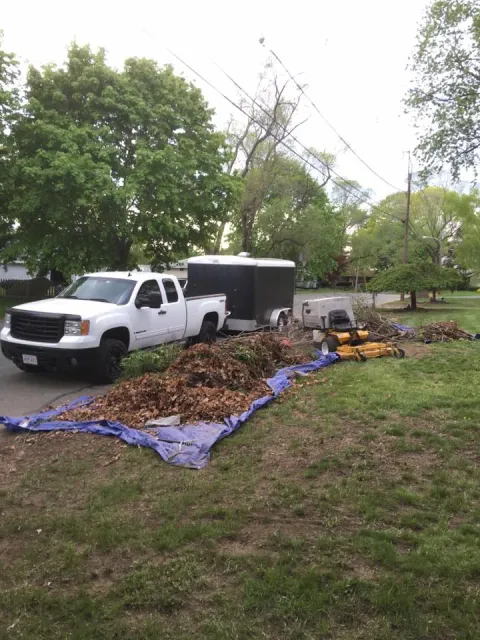 Bean Landscaping.jpg