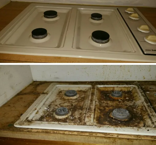 House of 8 cleaning work photo