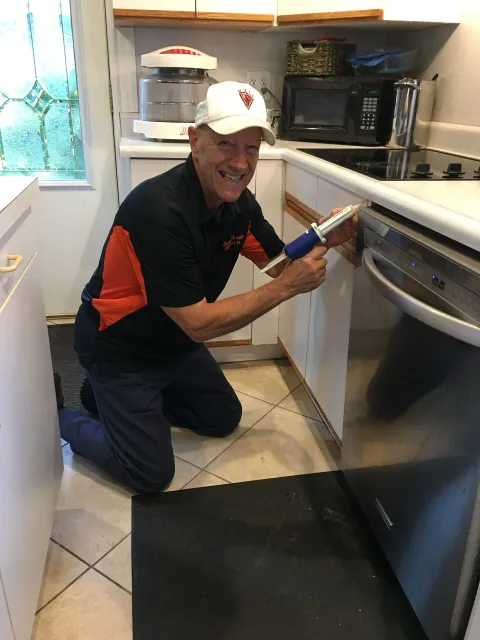 Dennis the Mennis Pest Control work photo