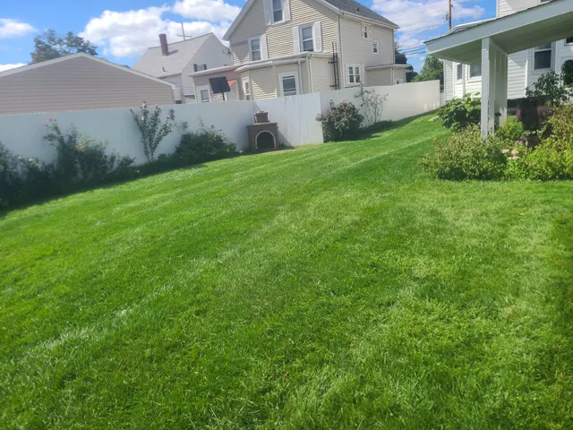 Jesse and son lawn services work photo