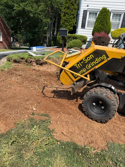 Tri-Son Stump Grinding researched project photo