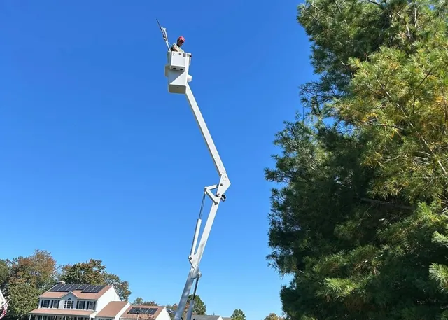 work photo from evergreenlawnandlandscape.com