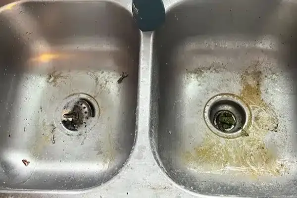 Two stainless steel sink basins, stained and dirty, with some food debris near the drains.