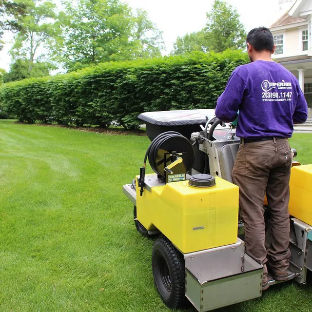 work photo from superiorarborcare.com