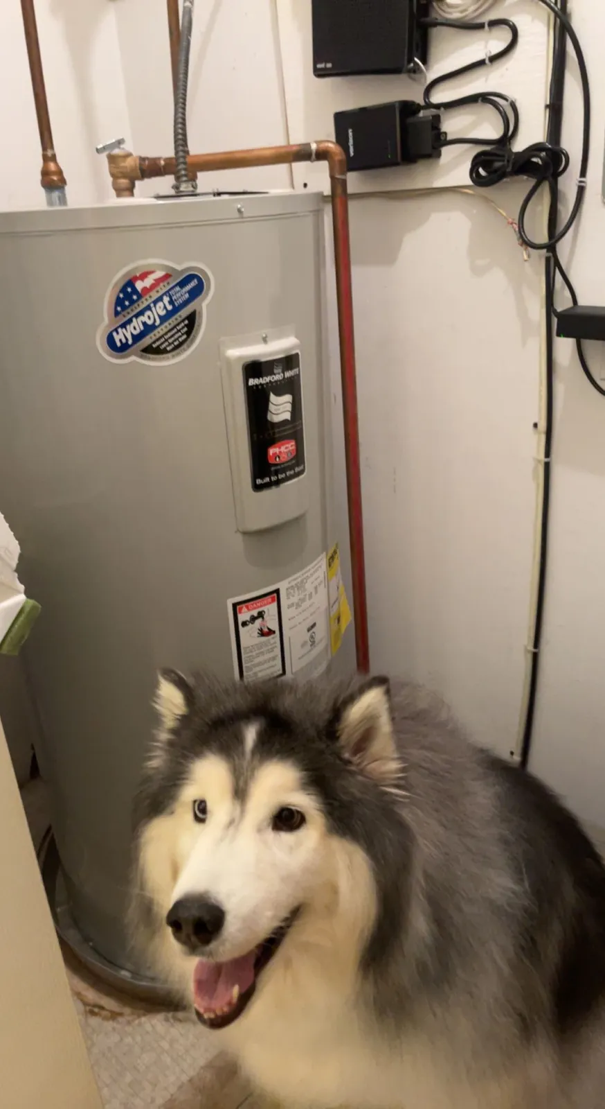 Wildcat Plumbing