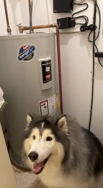 Wildcat Plumbing