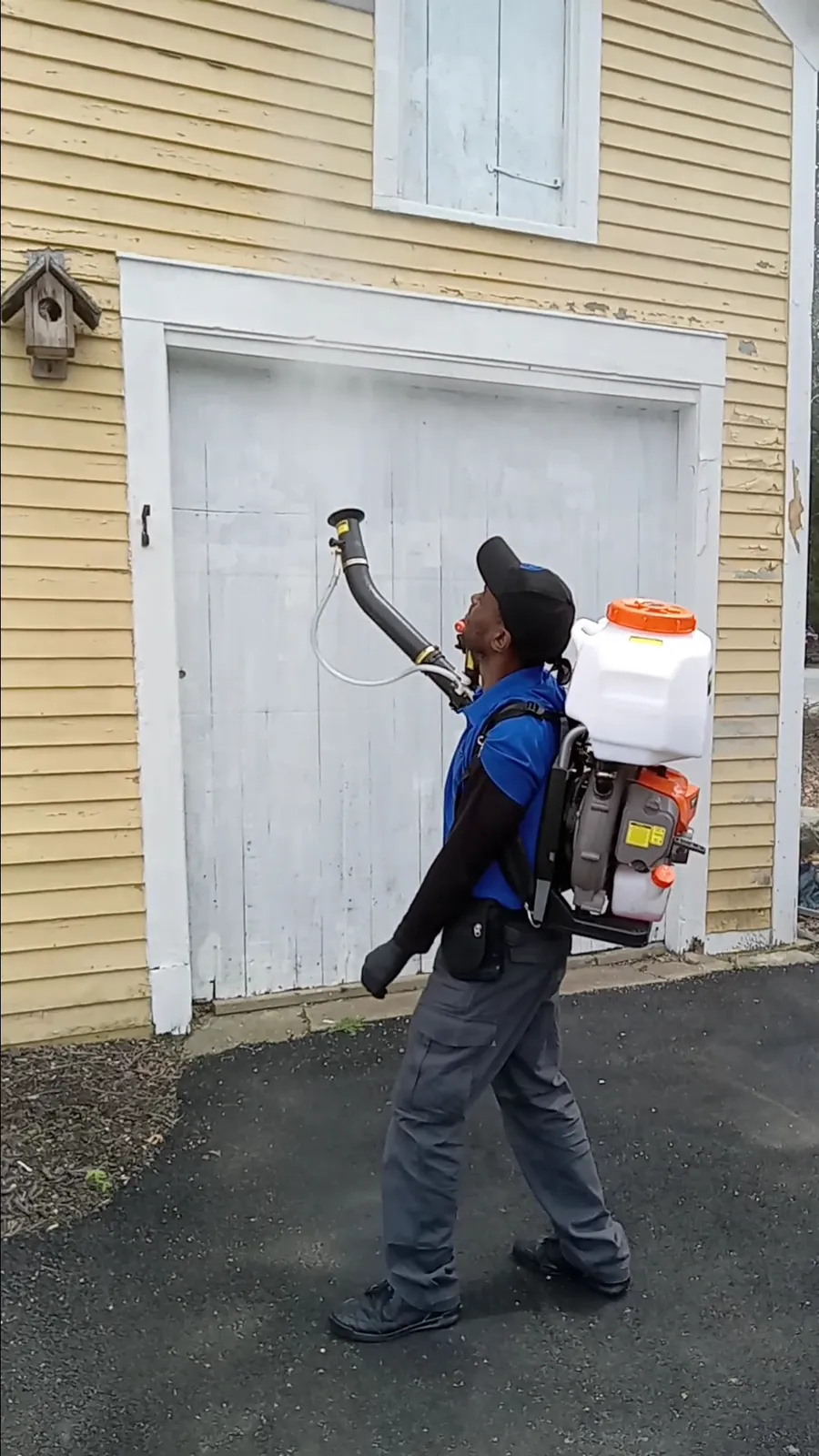 work photo from Google listing