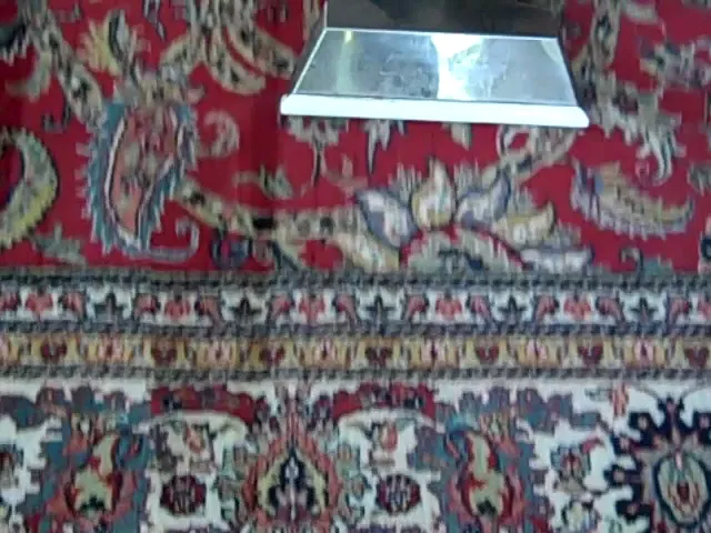 DMS Carpet & Upholstery Cleaners work photo