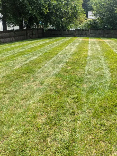 Coyne Landscape Inc. work photo