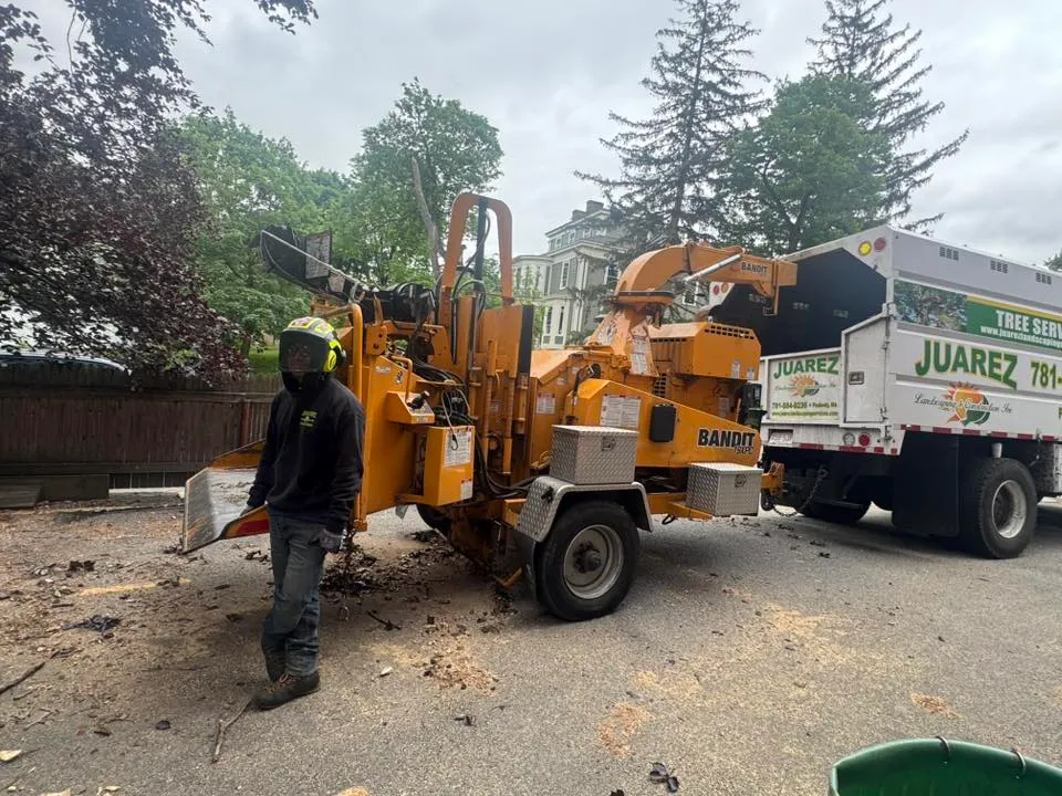 Juarez Landscaping and Tree Services