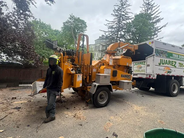 Juarez Landscaping and Tree Services