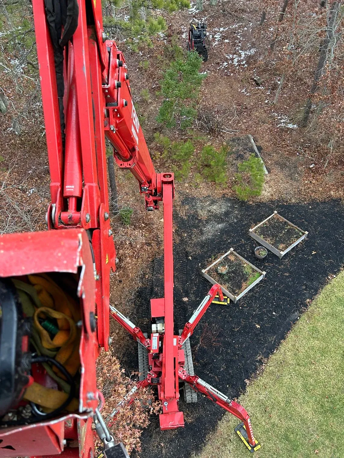Tree removal