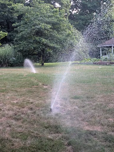 Pro Irrigation Inc work photo