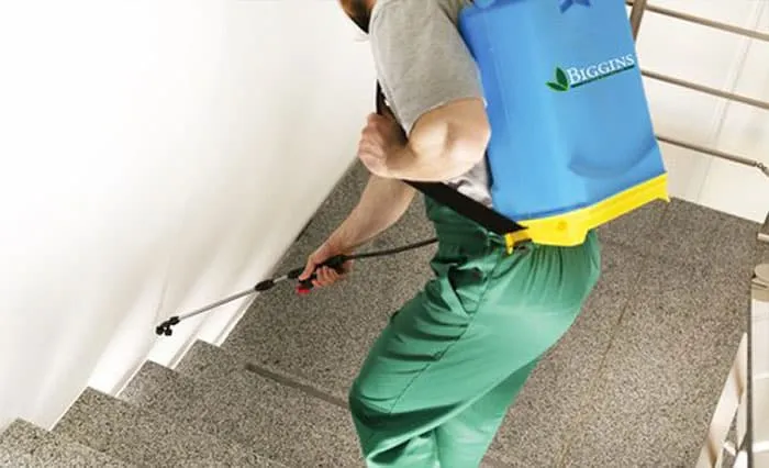 Biggibs Exterminating Wilmington MA Pest Controlrvices
