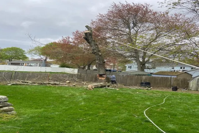 work photo from bostonslandscapingservices.com