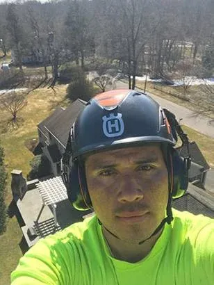 work photo from lifetreeservicesllc.com