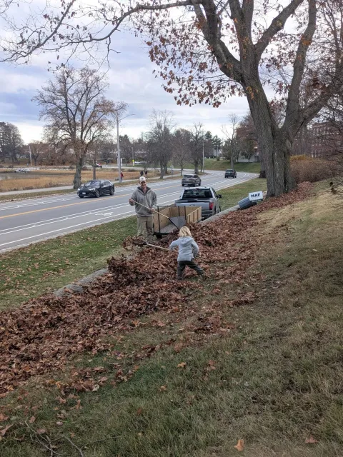 A man and a young boy rake fallen leaves in a yard next to a street.