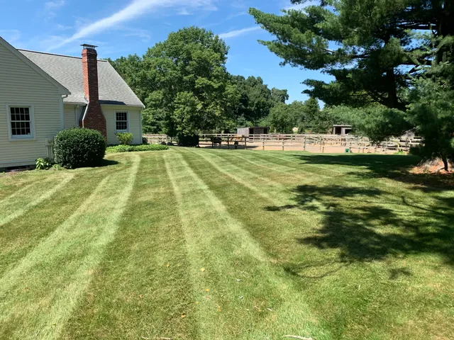 Vieira Landscape & Construction work photo