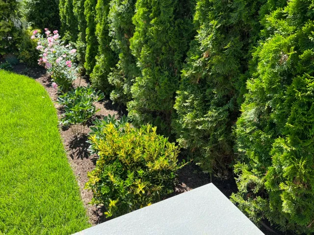 work photo from terragreenlandscaping.com