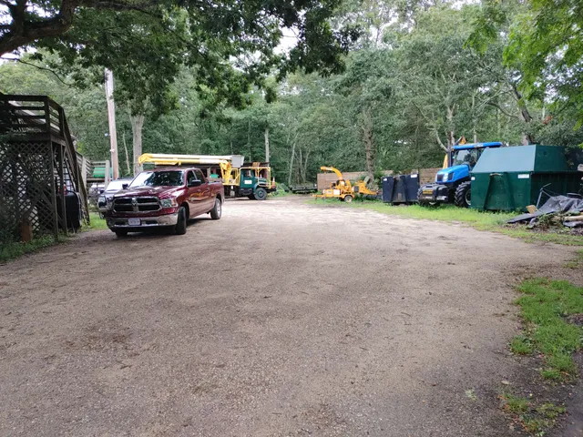 Clements Tree Services. work photo