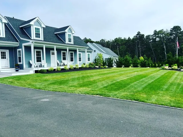 Landscape Design