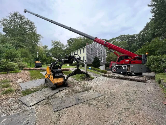 work photo from treeservicekingston.net