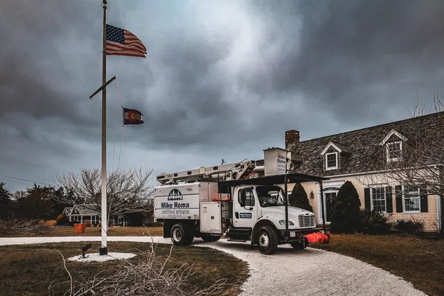 Mike Roma Tree Service researched project photo