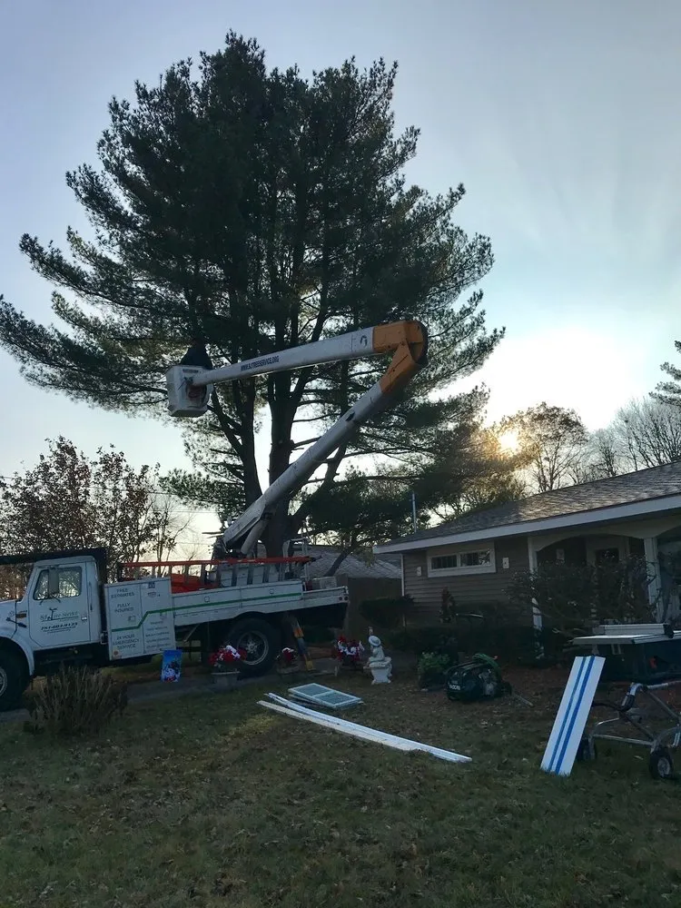 S J Tree Landscaping and Snow Removal Corp