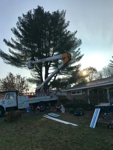 S J Tree Landscaping and Snow Removal Corp