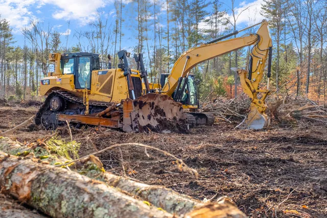 Granite State Land Management work photo