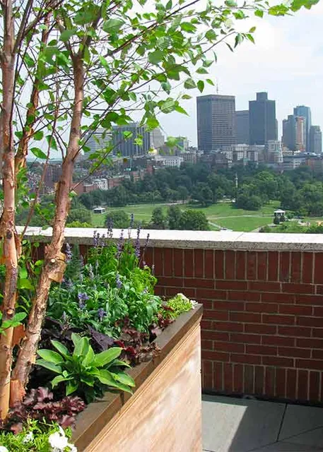 skyline garden