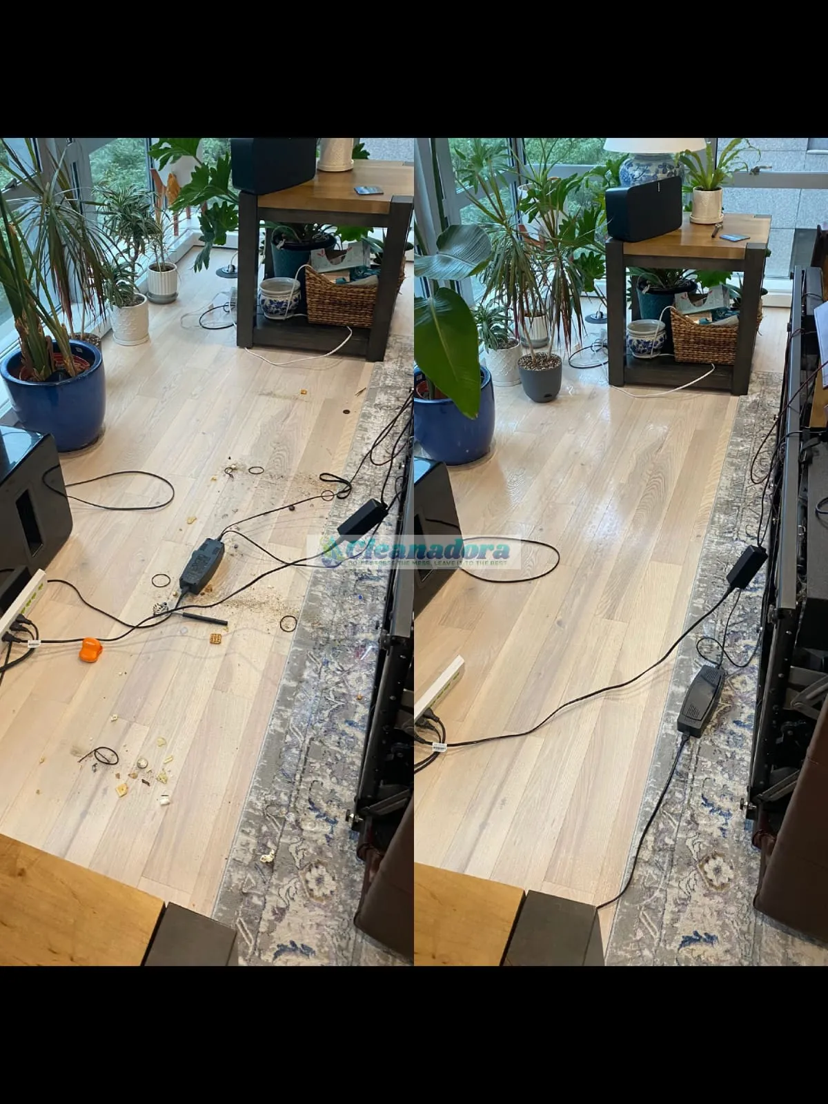 Cleanadora