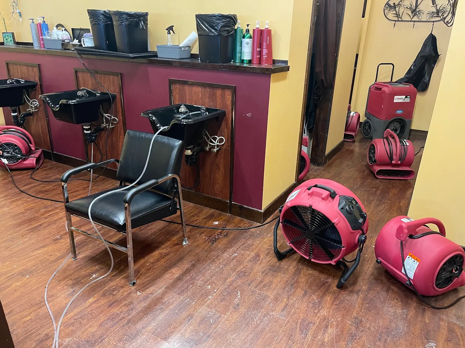 PuroClean Certified Restoration Specialists