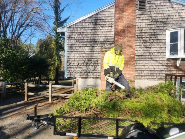 Warrior Waste Removal LLC researched project photo