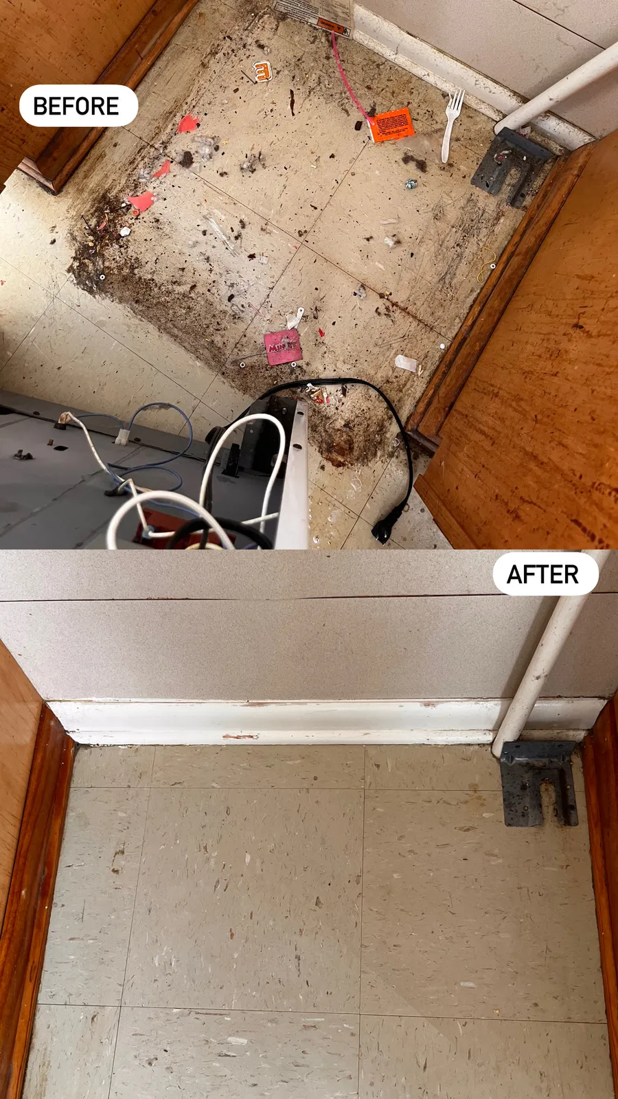 Morell’s Cleaning services researched project photo