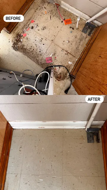 Morell’s Cleaning services researched project photo